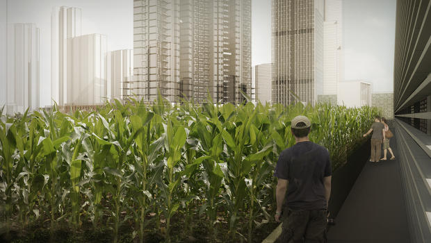 In China, The Modern Shopping Mall Is Topped With An Urban Farm, Not With Cars