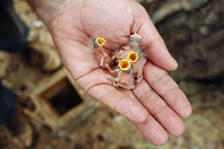 Cum arată oamenii care trăiesc la Cernobil și Fukushima