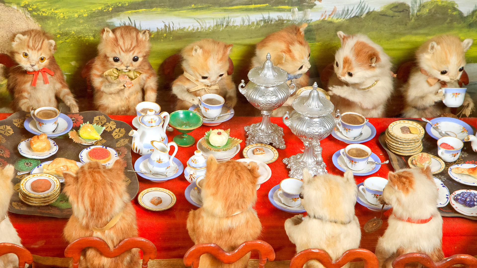Taxidermy kittens wedding