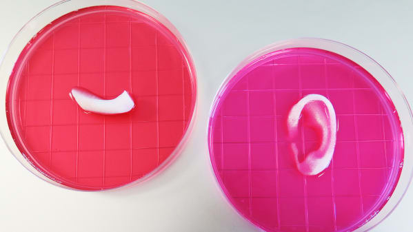 Integrated Tissue and Organ Printing System: Innovation by ...