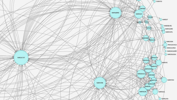 Infographic of the Day: The Power Structure of a Mexican Drug Cartel ...