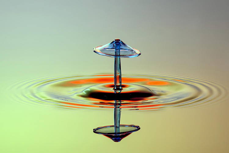 High-Speed Photography Turns Water Droplets Into Liquid Sculptures | Co ...