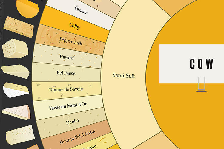 Infographic How To Tell The Difference Between 66 Varieties Of Cheese