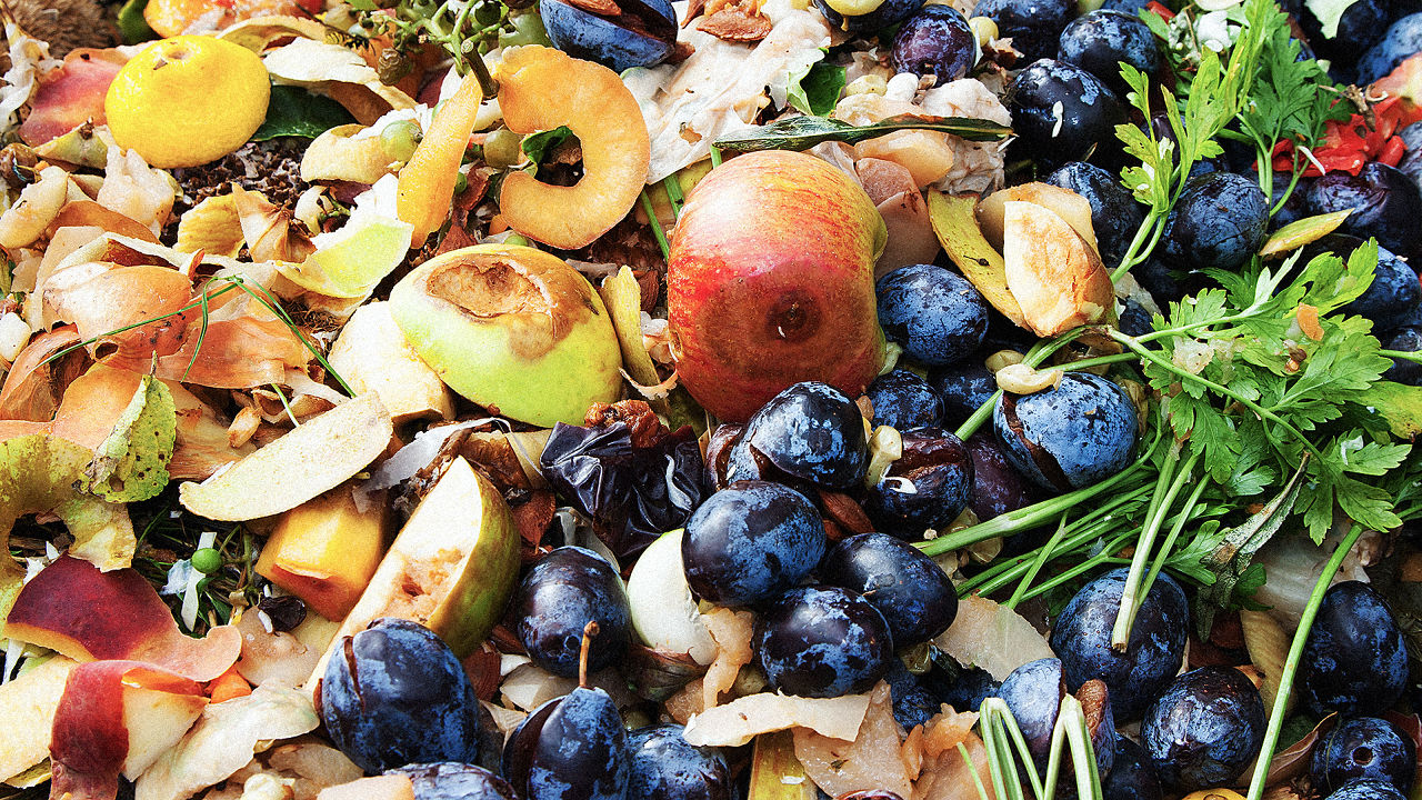 Image result for expired goods store