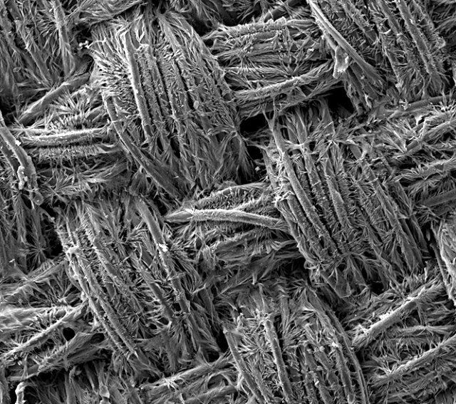 Antibacterial Fabrics Kill Dangerous Germs In A Matter Of Minutes Co