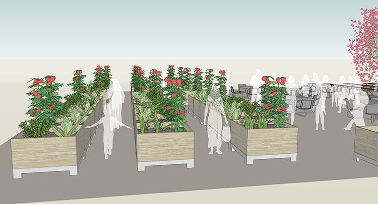 a-roaming-community-garden-to-help-green-vacant-lots-co-exist