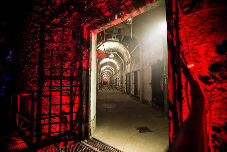 Escape Terror Room Level Escape Terror Room Level