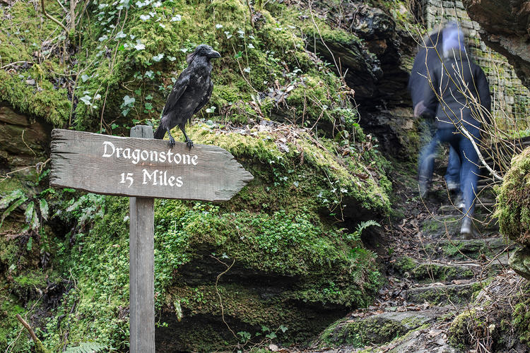 Tourism Ireland Is Scattering Dragon Eggs, Winterfell