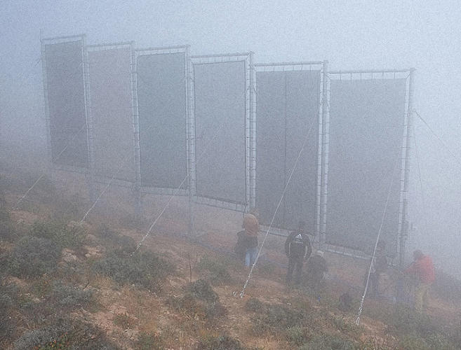 These Massive Floating Nets Capture Fog And Turn It Into Drinking Water
