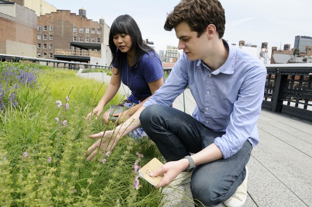 High Line