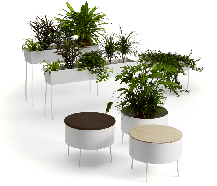 Unique Plant Furniture Ideas in 2022