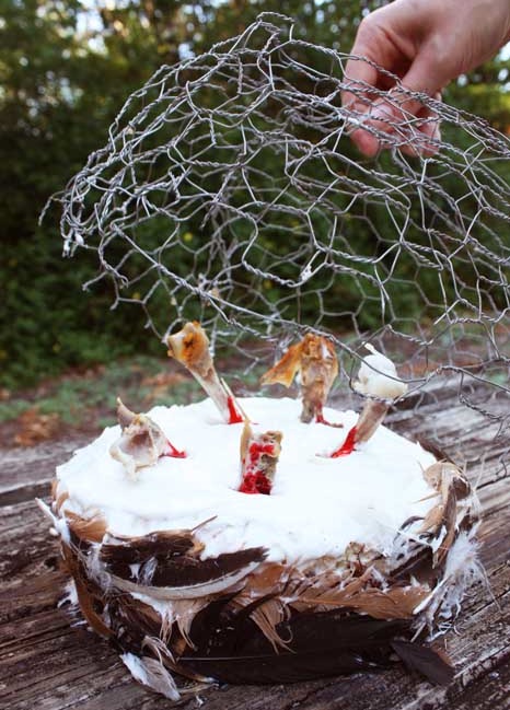 Bird Flu Feather Cake