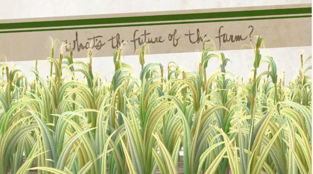 Future Farm
