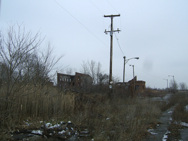 Detroit Farming