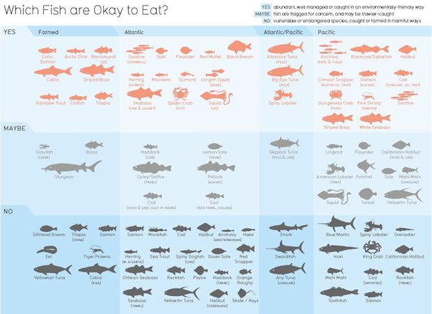 Printable Saltwater Fish Chart