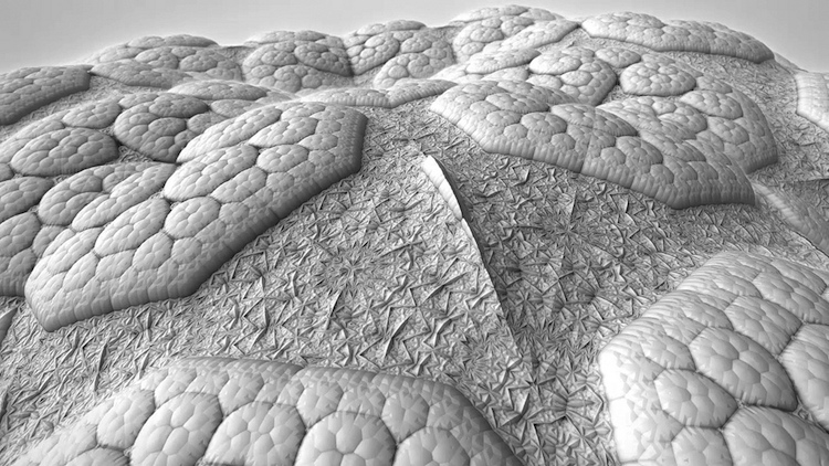 fractal