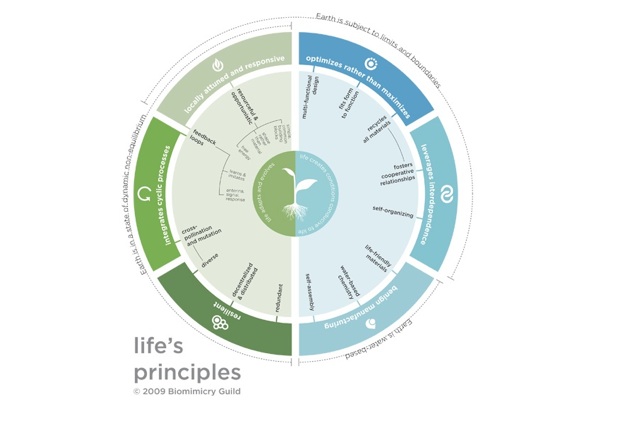 Life's Principles