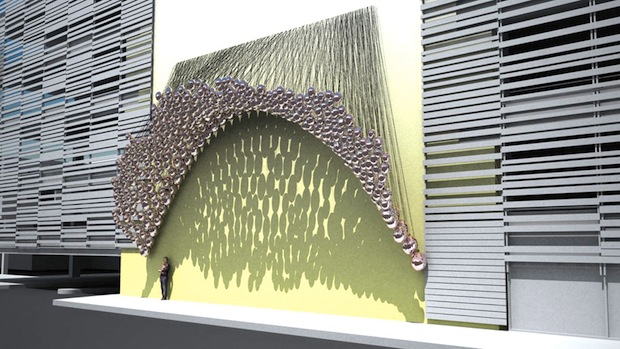 wall
