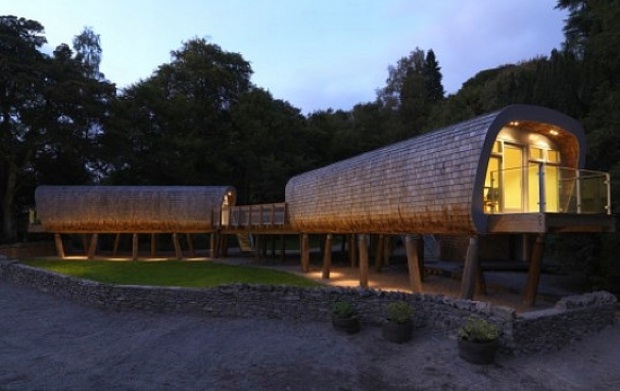 treehouse school