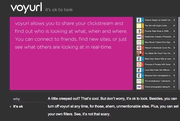 program that lets you surf the web